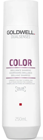 Goldwell Dualsenses Color Szampon do włosów farbowanych 250 ml