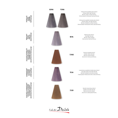 Stapiz Color Art Desiree Toner kwasowy bez amoniaku 100 ml