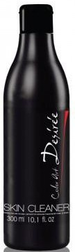 Stapiz Color Art Desiree Zmywacz do farby 300 ml