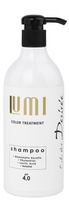Stapiz Art Desiree LUMI Shampoo Rozświetlający Szampon do włosów farbowanych 700 ml