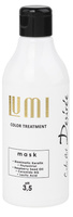 Stapiz Art Desiree LUMI Mask Maska rozświetlająca do włosów farbowanych 240 ml